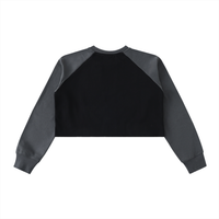 Raw-Hem Color-Block Raglan Crop Sweatshirt